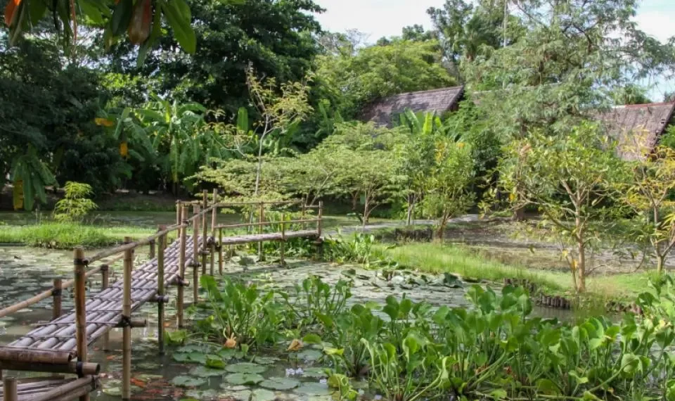 La industria del bienestar, la última apuesta de Tailandia para atraer turistas