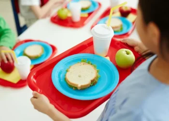Futuro da CEI da Merenda Escolar de Indaial é pauta em sessão extraordinária da Câmara