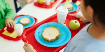 Futuro da CEI da Merenda Escolar de Indaial é pauta em sessão extraordinária da Câmara