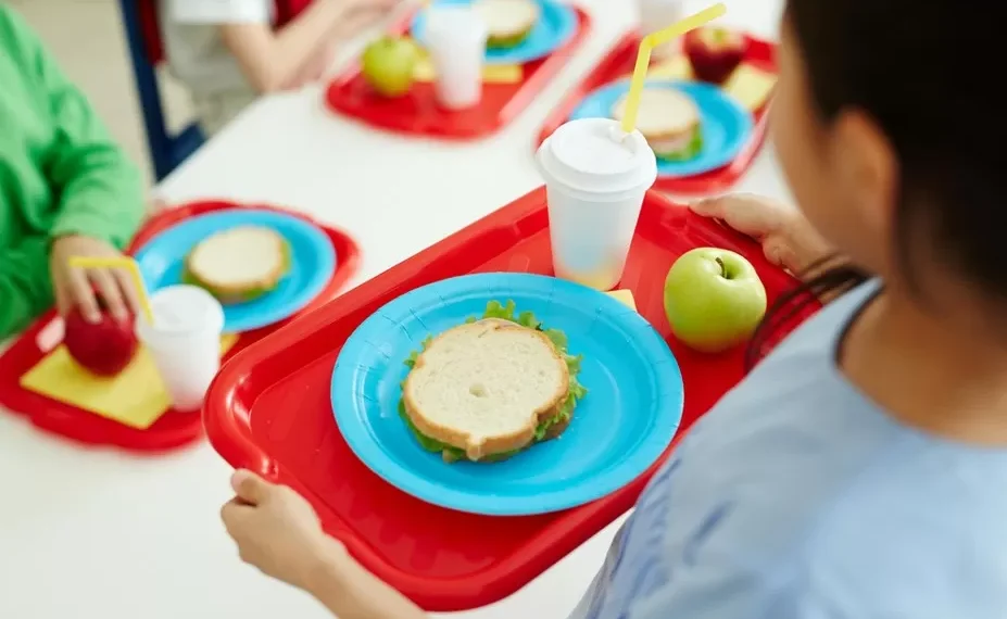 Futuro da CEI da Merenda Escolar de Indaial é pauta em sessão extraordinária da Câmara