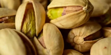 Furor por el pistacho:los 5 países que tienen el 99 por ciento de la producción mundial