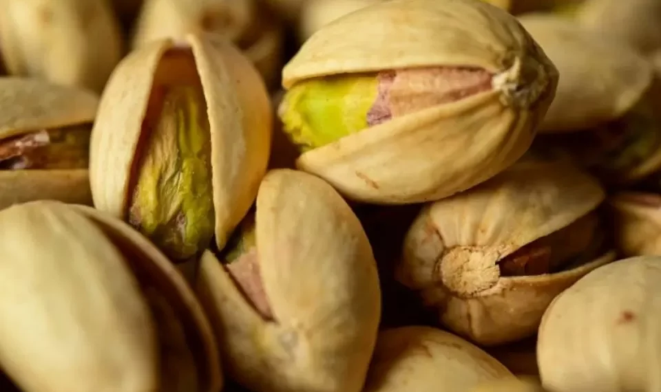 Furor por el pistacho:los 5 países que tienen el 99 por ciento de la producción mundial