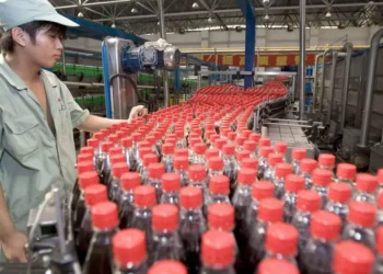 Cuide su cerebro: las 8 bebidas que ‘no vale la pena tomar’ para proteger su mente