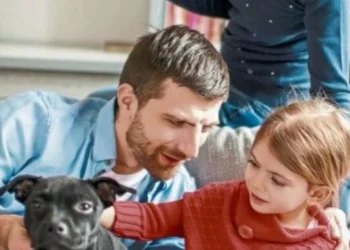 Abogada responde si es legal que le prohíban tener una mascota en su casa