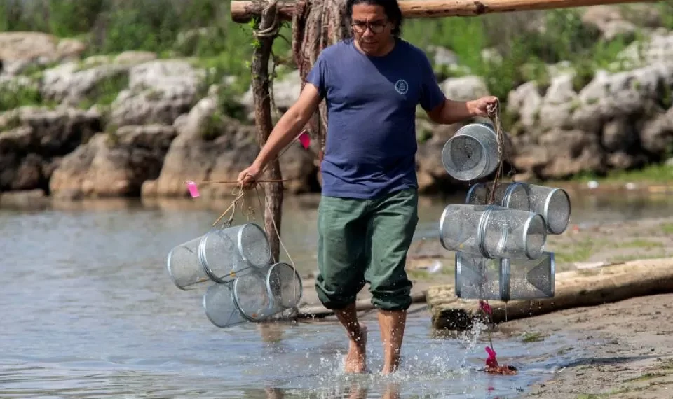 Ciencia y tradición convergen en proyecto que busca rescatar al achoque