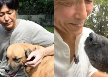 Conmovedor: perro lo salvó de la depresión, vendió su Ferrari y abrió un refugio