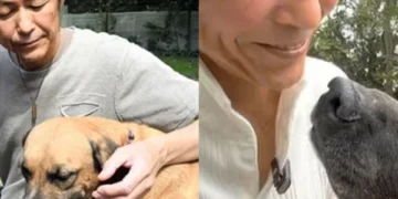 Conmovedor: perro lo salvó de la depresión, vendió su Ferrari y abrió un refugio