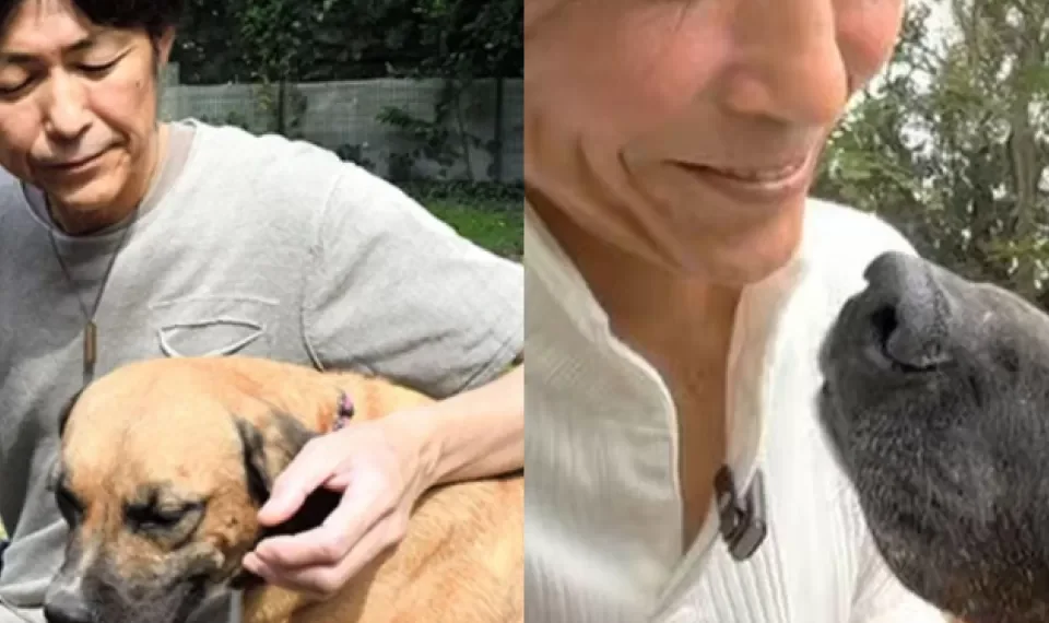 Conmovedor: perro lo salvó de la depresión, vendió su Ferrari y abrió un refugio