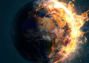 ¿Sabe cuál es? El insecto que puede desaparecer y generaría un desastre en planeta