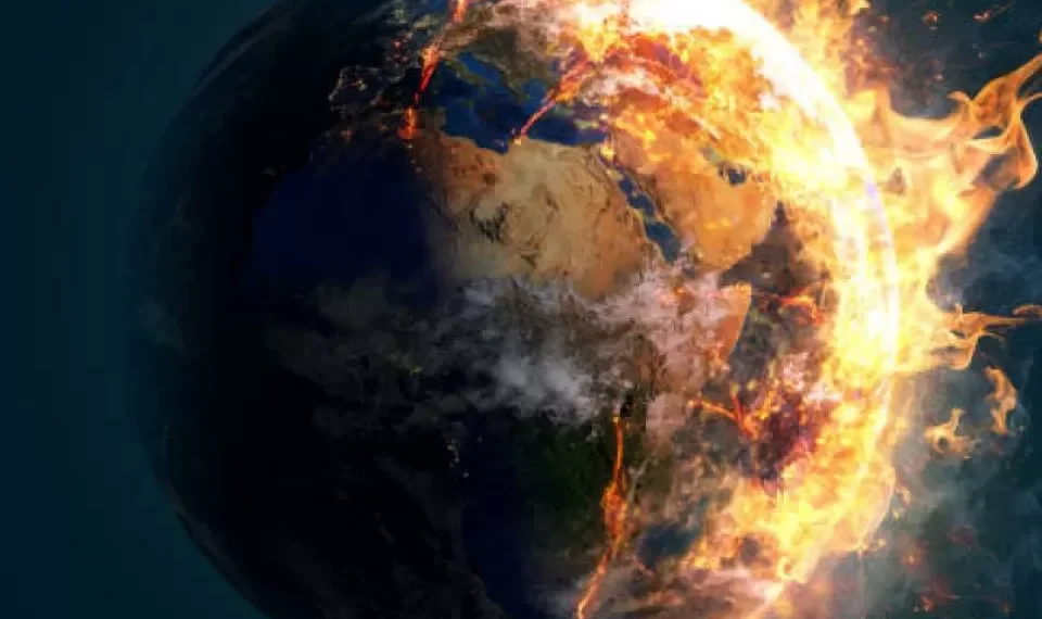 ¿Sabe cuál es? El insecto que puede desaparecer y generaría un desastre en planeta