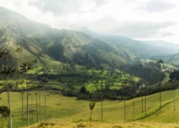 Las 5 ciudades del Eje Cafetero que valen la pena conocer, según la IA