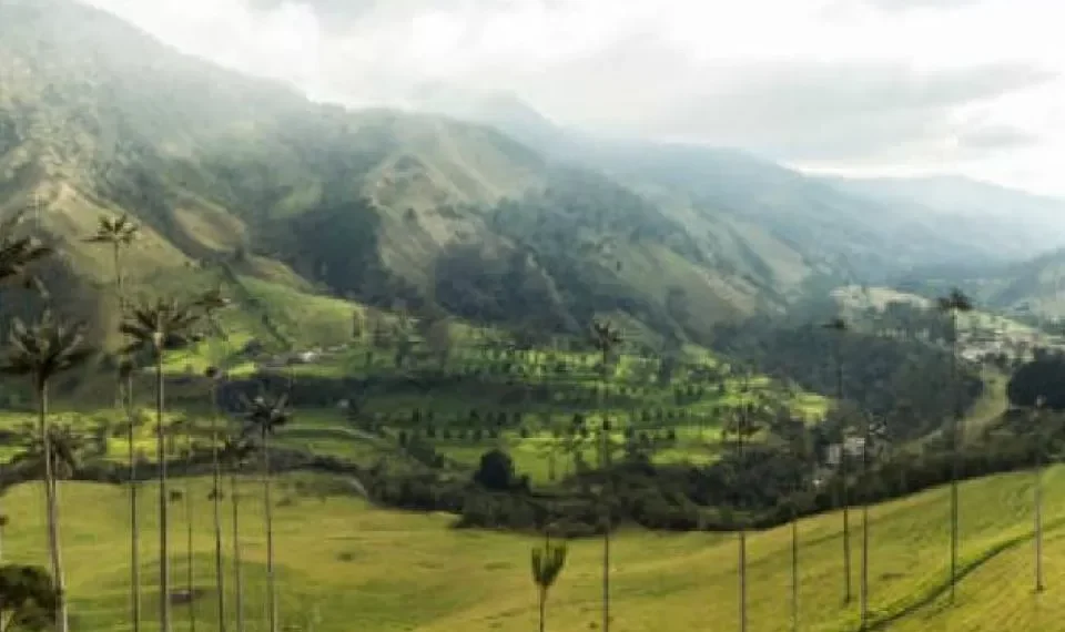 Las 5 ciudades del Eje Cafetero que valen la pena conocer, según la IA