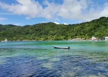 La playa colombiana que está rodeada de bosque y selva: pocos saben que existe