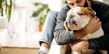 ¿Dieta vegana para perros? Experta en nutrición canina explica por qué no es bueno