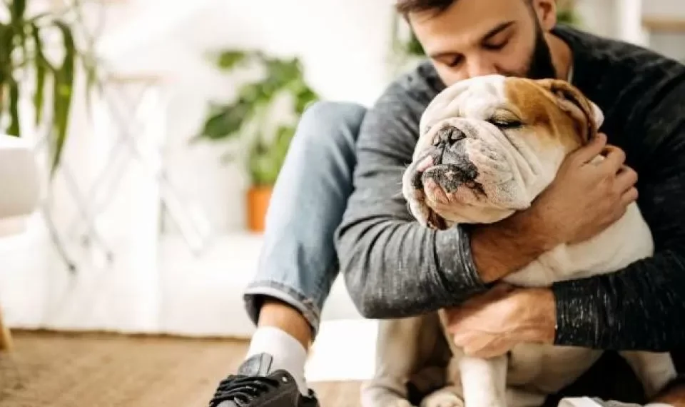 ¿Dieta vegana para perros? Experta en nutrición canina explica por qué no es bueno