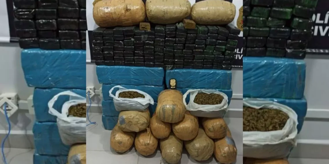 Justiça condena dono de 222 kg de drogas apreendidas em Ascurra a mais de 10 anos de prisão