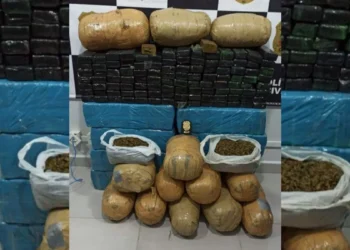 Justiça condena dono de 222 kg de drogas apreendidas em Ascurra a mais de 10 anos de prisão