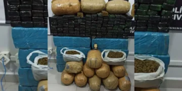 Justiça condena dono de 222 kg de drogas apreendidas em Ascurra a mais de 10 anos de prisão