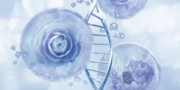 ‘Adiós oxidación’: compuesto químico del cuerpo es el ‘rey del antienvejecimiento’