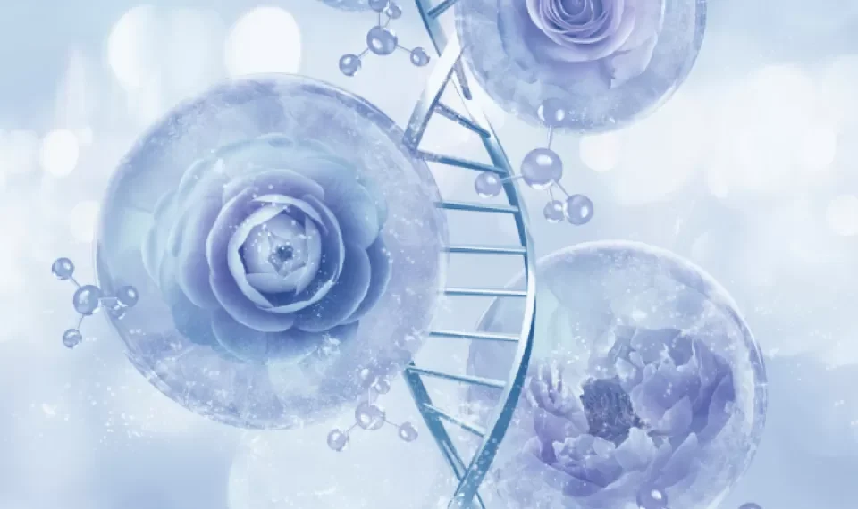 ‘Adiós oxidación’: compuesto químico del cuerpo es el ‘rey del antienvejecimiento’