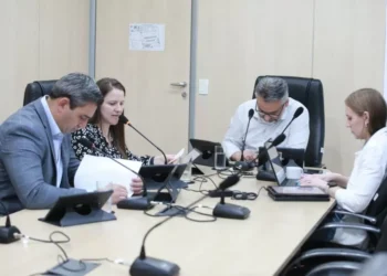 Câmara de Blumenau debate leis não cumpridas e projetos sobre saúde, cultura e mobilidade