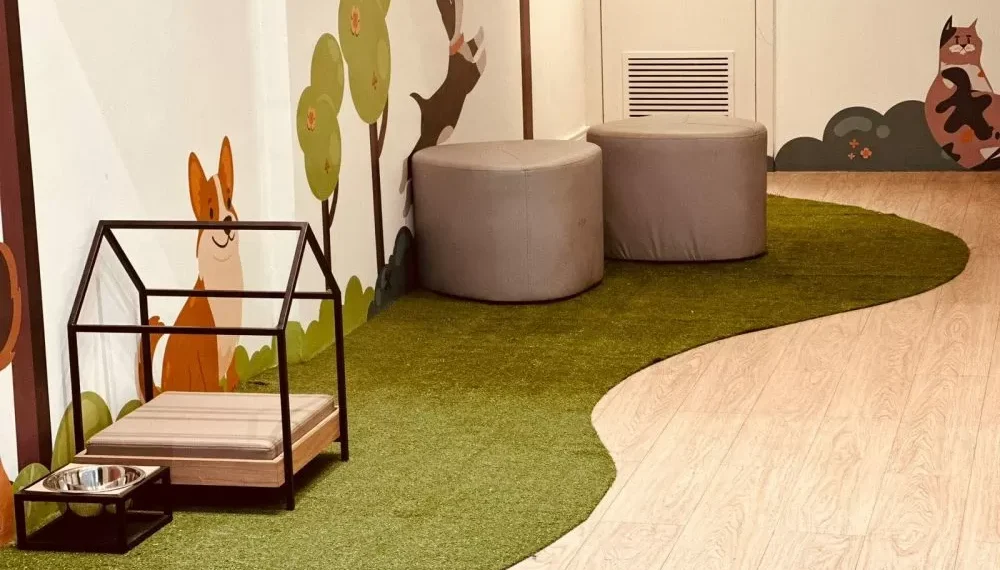 Norte Shopping inaugura espaço Pet Place para acolher animais de estimação