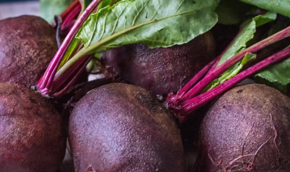 Más que solo color: los 6 beneficios que la remolacha tiene para su salud