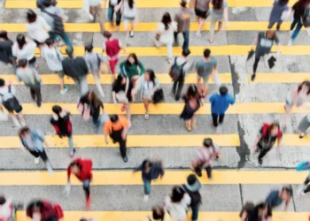 Bogotá bajo la lupa: 5 conductas ciudadanas que generan más problemas