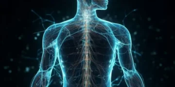 Cuál es la importancia que tiene el hierro en su cuerpo: esto dicen los expertos