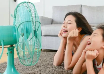 Es efectivo: la técnica que enfría su casa mejor que un ventilador y sin consumo de luz