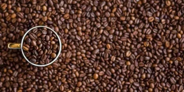 Após tarifaço, Brasil bate recorde de exportações ao Canadá no 1º semestre de 2025