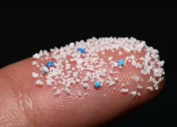Microplásticos, también presentes en la casa y el carro: así entran hasta los pulmones