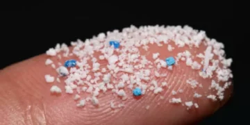 Microplásticos, también presentes en la casa y el carro: así entran hasta los pulmones