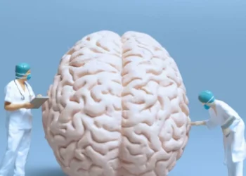 Cómo cuidar su cerebro desde hoy: 9 prácticas que marcan la diferencia, según expertos