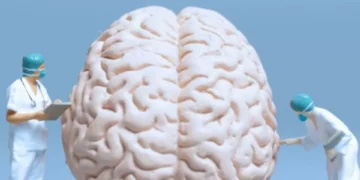 Cómo cuidar su cerebro desde hoy: 9 prácticas que marcan la diferencia, según expertos
