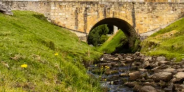 Bellísimo: el mágico lugar de Colombia donde puede caminar sobre un puente de agua