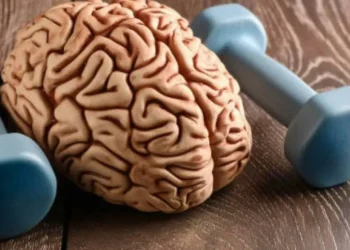 No debilite su cerebro: 8 hábitos de la neurociencia para potenciar la memoria