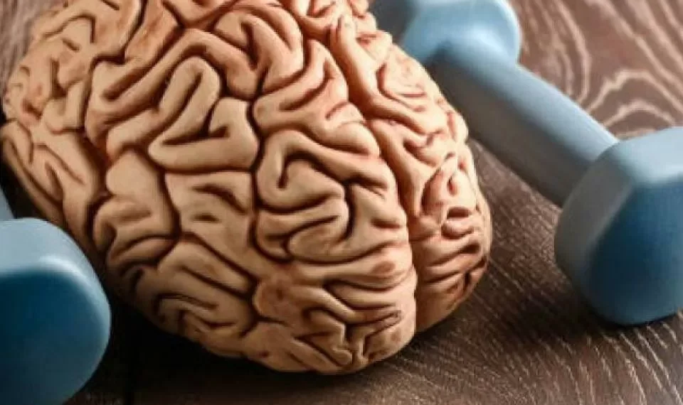 No debilite su cerebro: 8 hábitos de la neurociencia para potenciar la memoria