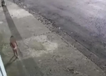 Sozinha na madrugada: criança de fralda é encontrada na rua enquanto mãe vai a baile funk