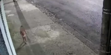 Sozinha na madrugada: criança de fralda é encontrada na rua enquanto mãe vai a baile funk