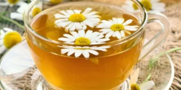 Lo que la ciencia dice sobre la manzanilla: 7 beneficios que quizá no conocía