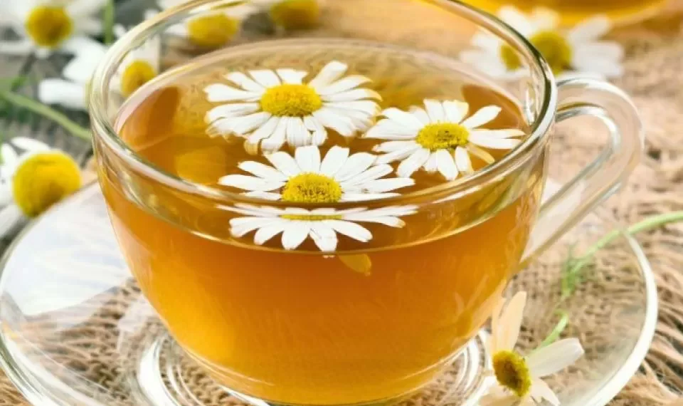 Lo que la ciencia dice sobre la manzanilla: 7 beneficios que quizá no conocía