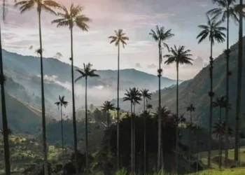 Ni Suiza lo tiene: el rincón escondido de Colombia que parece sacado de un cuento