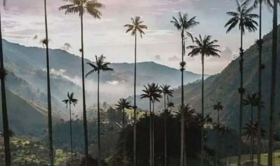 Ni Suiza lo tiene: el rincón escondido de Colombia que parece sacado de un cuento