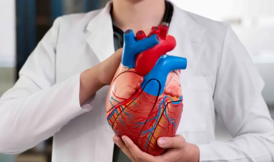 ¿Quiere cuidar su corazón? La neurociencia tiene 9 recomendaciones poco conocidas