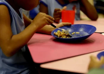 CEI da Merenda Escolar, em Indaial, solicita documentos ao prefeito e a empresas