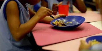 CEI da Merenda Escolar, em Indaial, solicita documentos ao prefeito e a empresas