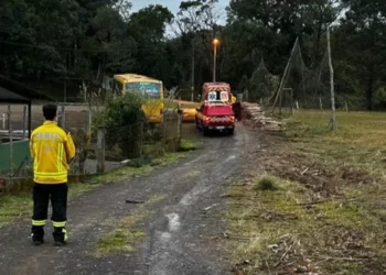 Bombeiros resgatam mulher desaparecido em área de mata em Rio dos Cedros