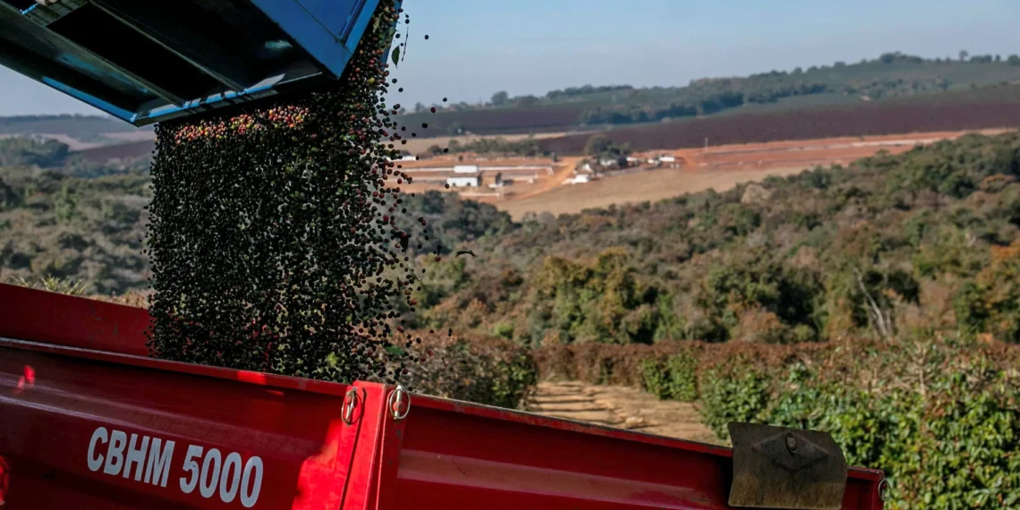 O que esperar do pacote do governo para amenizar impacto do tarifaço de Trump