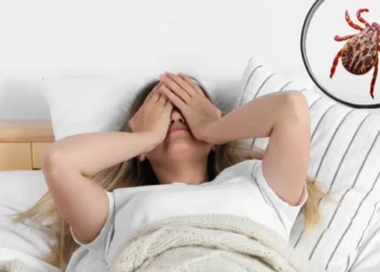 Lo que pocos saben sobre la enfermedad de Lyme: 3 claves para entenderla